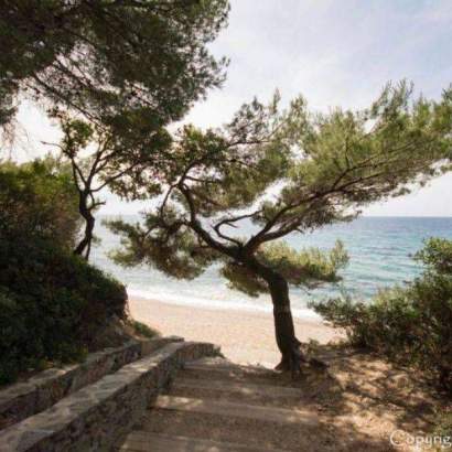 Camping Hyères : En bord de mer au pradet, la plage du monaco est proche de Toulon et du camping Artaudois