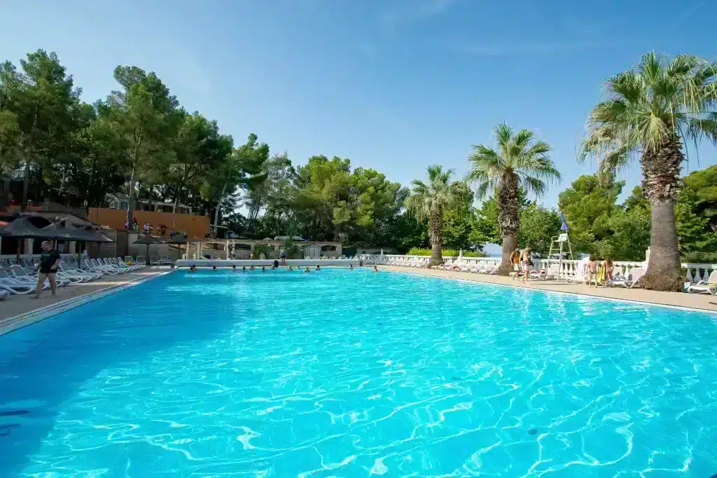 Piscine extérieure entourée de palmiers et transats.