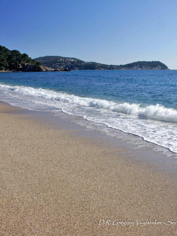 19022014 monaco 2 photo   Grégory Vuylsteker Service communication   ville du Pradet